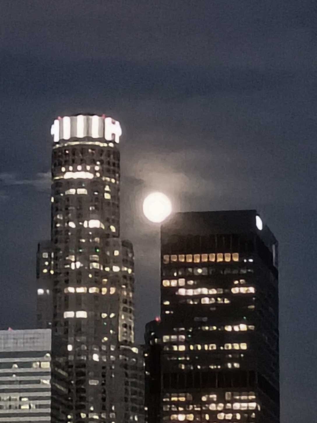 A Glimpse at the Bloody Moon